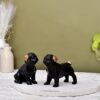 Elegant Dog Pair Showpiece for Home Décor – Decorative Figurine for Living Room & Office